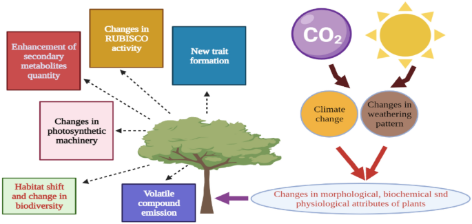 Alarming influence of climate change and compromising quality of medicinal  plants | Plant Physiology Reports | Springer Nature Link