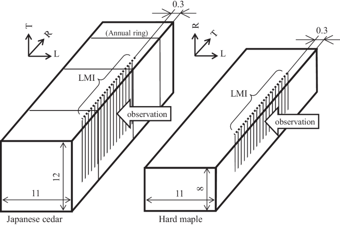 A Consideration for Improving the Processing Efficiency of UV-Laser  Incisions of Wood | SpringerLink