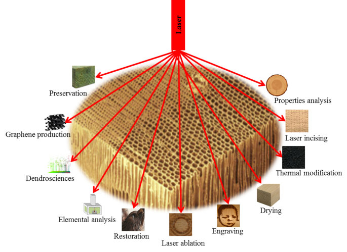 Multifaceted Laser Applications for Wood – A Review from Properties  Analysis to Advanced Products Manufacturing | SpringerLink