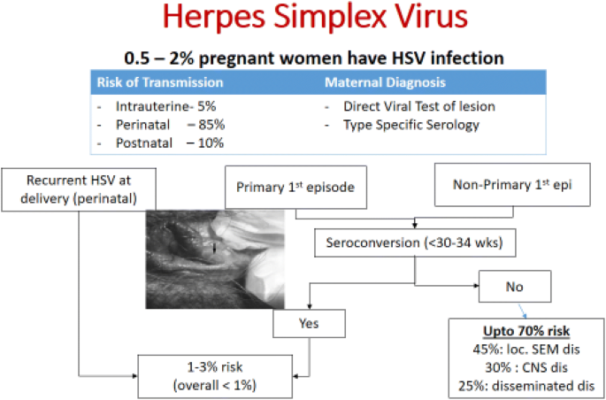 Does Everyone Have Hsv 1