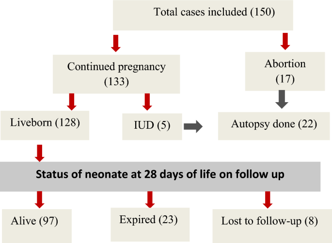 Distribution of Fetal Anomalies According to International 