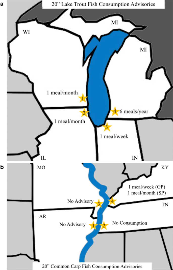 Why fish consumption advisories in Great Lakes states carry their