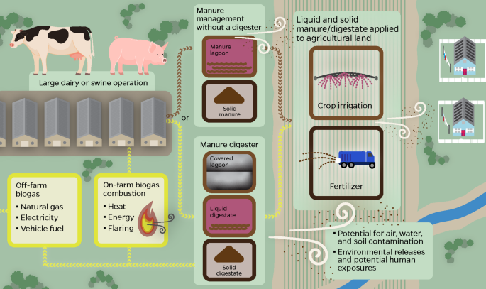 Deconstructing the Livestock Manure Digester and Biogas Controversy ...