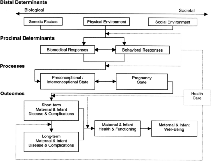 Perinatal Depression in Rural Kenya and the Associated Risk and ...