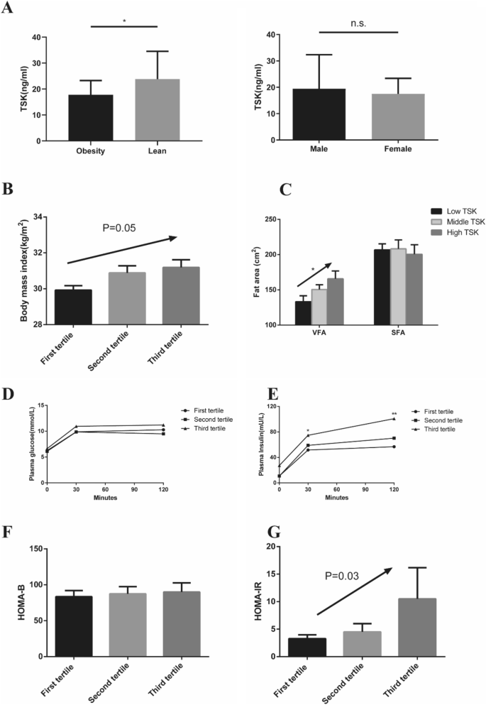 Tsukushi And Tsku Genotype In Obesity And Related Metabolic Disorders Springerlink Tsukushi And Tsku Genotype In Obesity And Related Metabolic Disorders Springerlink