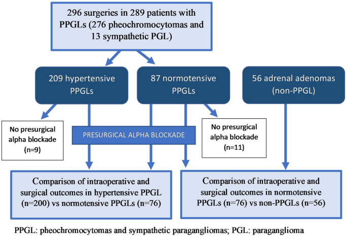 View of Surgical and Pharmacological Management of Functioning  Pheochromocytoma and Paraganglioma