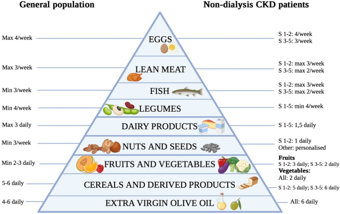 nutritional-assessment-and-medical-dietary-therapy-for-management-of-obesity-in-patients-with-non-dialysis-chronic-kidney-disease-a-practical-guide-for-endocrinologist-nutritionists-and-nephrologists-a-consensus-statement-from-the-italian-society for Dr Valencia Diet Plan Free Printable Nutritional assessment and medical dietary therapy for management of obesity in patients with non-dialysis chronic kidney disease: a practical guide for endocrinologist, nutritionists and nephrologists. A consensus statement from the Italian society for Dr Valencia Diet Plan Free Printable