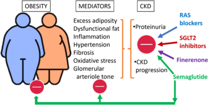 semaglutide versus tirzepatide reddit Tirzepatide vs Semaglutide: Weight Loss, Side Effects, Uses