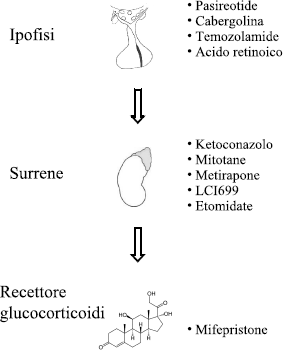 3 consigli sulla cjc-1295 2mg che non puoi permetterti di perdere