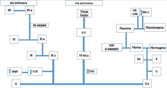 7 giorni per migliorare il tuo modo di terapia post ciclo steroidi