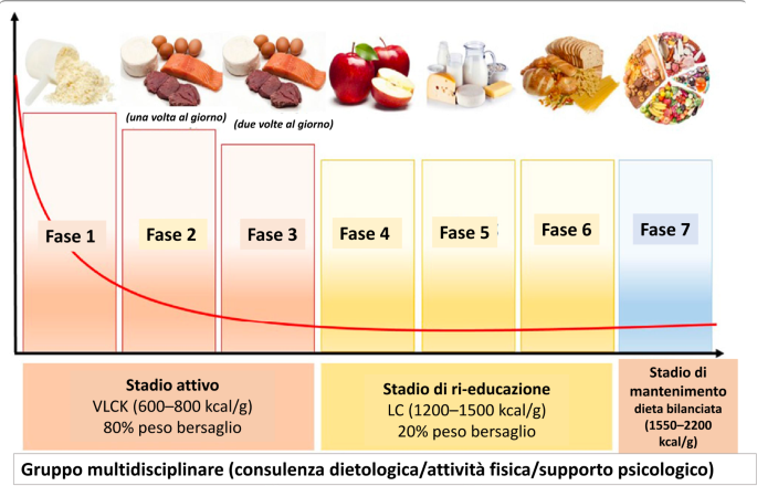 Very low-calorie ketogenic diet (VLCKD): indicazioni ed efficacia nel  trattamento dell'obesità | SpringerLink