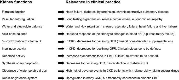 Beyond chronic kidney disease: the diagnosis of Renal Disease in the Elderly as an unmet need. A position paper endorsed by Italian Society of Nephrology (SIN) and Italian Society of Geriatrics and Beyond chronic kidney disease: the diagnosis of Renal Disease in the Elderly as an unmet need. A position paper endorsed by Italian Society of Nephrology (SIN) and Italian Society of Geriatrics and