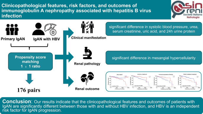 clinicopathological features risk factors and outcomes of immunoglobulin a nephropathy associated with hepatitis b virus infection springerlink