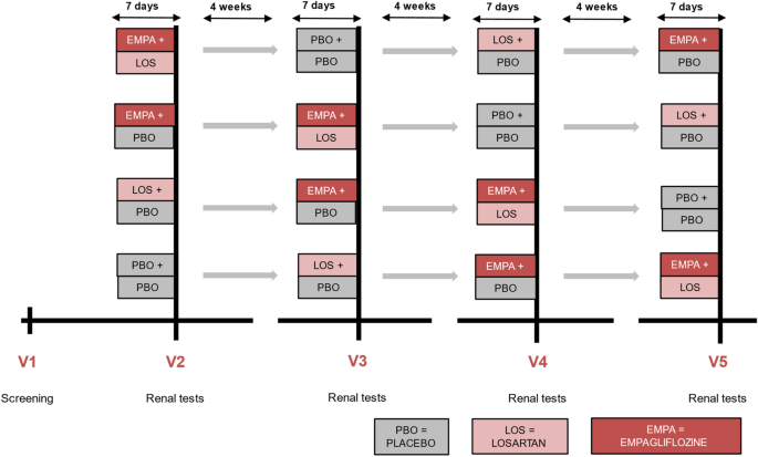 The systemic and kidney hemodynamic response to empagliflozin, losartan and  their combination varies between individuals | Journal of Nephrology