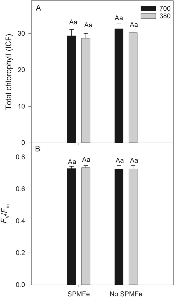 Is a C4 tropical grass still an option in the revegetation of iron ore  tailings in face of climate change? | Theoretical and Experimental Plant  Physiology | Springer Nature Link
