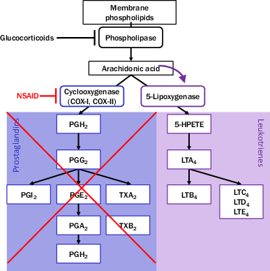 NSAID hypersensitivity – recommendations for diagnostic work up and patient  management | Allergo Journal International