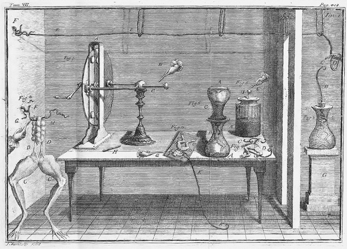 Figuring out what is happening: the discovery of two electrophysiological  phenomena | SpringerLink