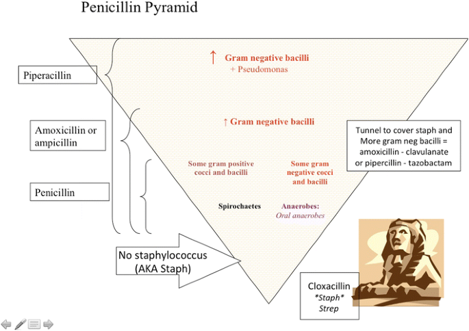 The Penicillin Pyramid An Antimicrobial Mnemonic That Impacts