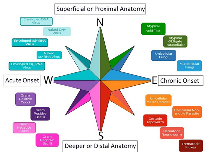 case study data science education figure 1