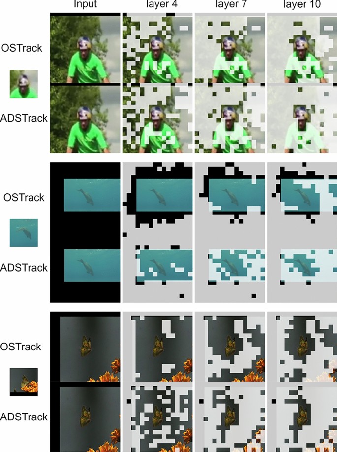 ADSTrack: adaptive dynamic sampling for visual tracking | Complex ...