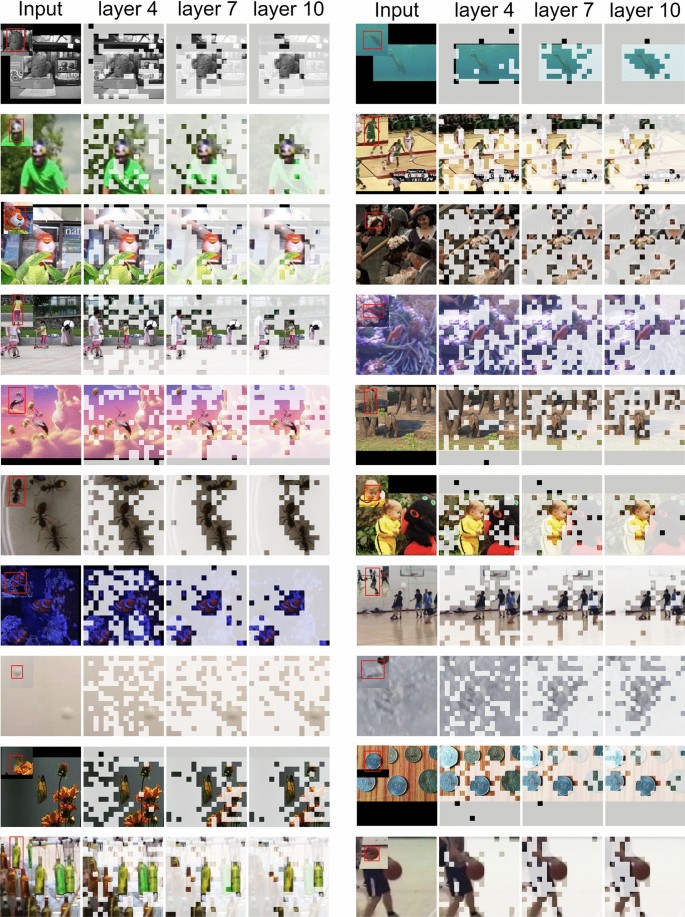 ADSTrack: adaptive dynamic sampling for visual tracking | Complex ...