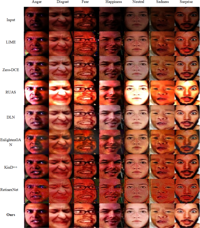 A joint learning method for low-light facial expression recognition ...