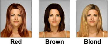 Are Preferences for Women's Hair Color Frequency-Dependent? | SpringerLink Are Preferences for Women's Hair Color Frequency-Dependent? | SpringerLink
