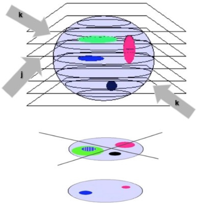 figure 17