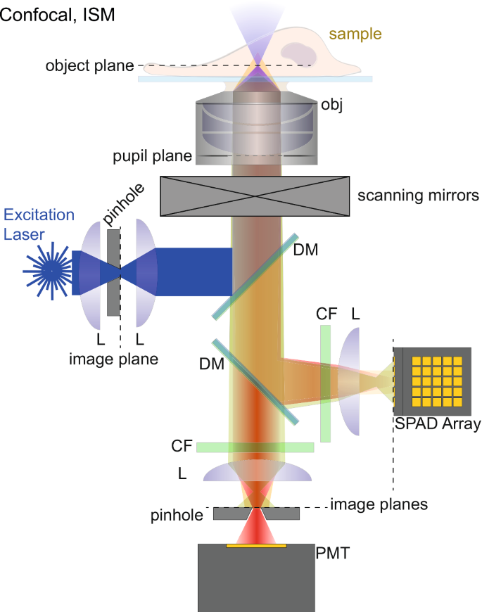 figure 21