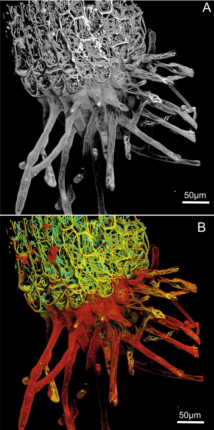 figure 23