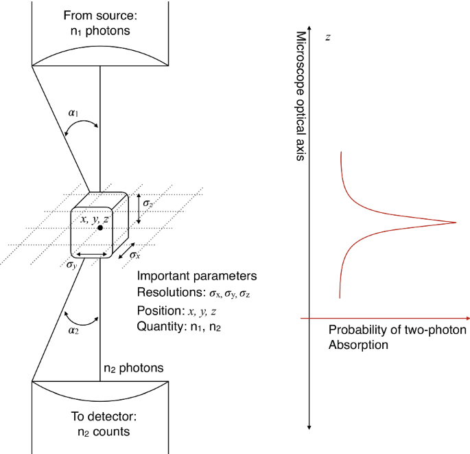 figure 24