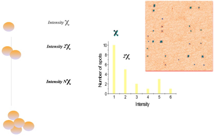 figure 28