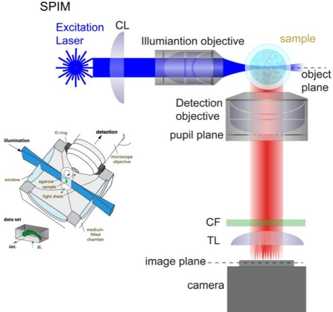 Optical nanoscopy | SpringerLink