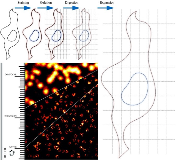 figure 46