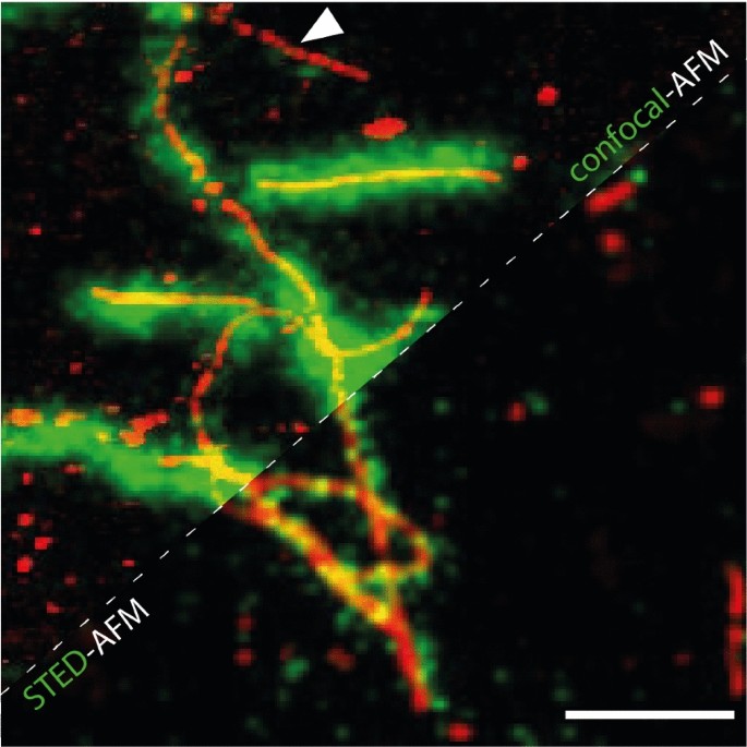 figure 50