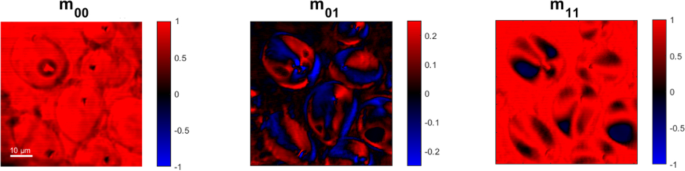 figure 20