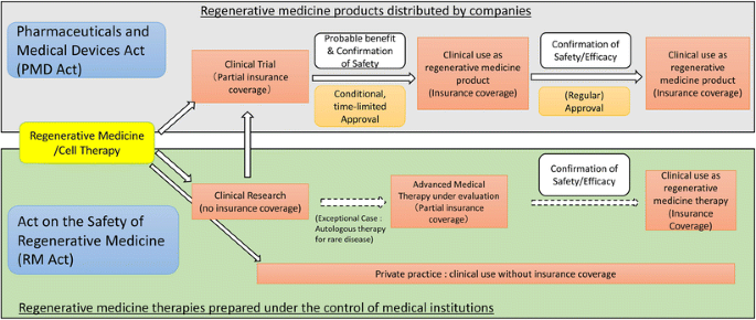 Stem cell drugs: the next generation of pharmaceutical products -  Biomedical Research and Therapy