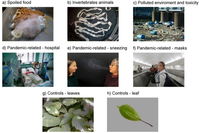 From Bugs to Sickness: Disgust Evaluation of Ancestral, Modern, and ...