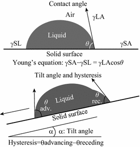 Plant Surfaces Structures And Functions For Biomimetic Innovations Springerlink