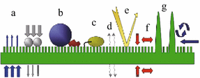 figure 24