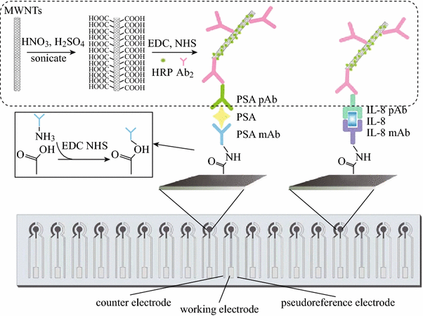 scheme 5