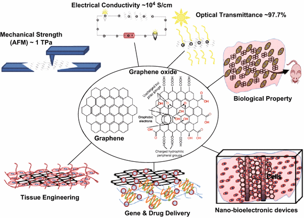 A Review on Graphene-Based Nanomaterials in Biomedical 