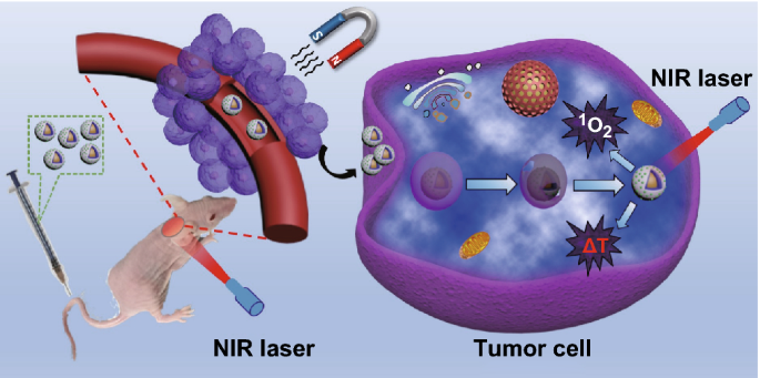 Indocyanine Green Conjugated Magnetic Prussian Blue Nanoparticles For Synchronous Photothermal Photodynamic Tumor Therapy Springerlink