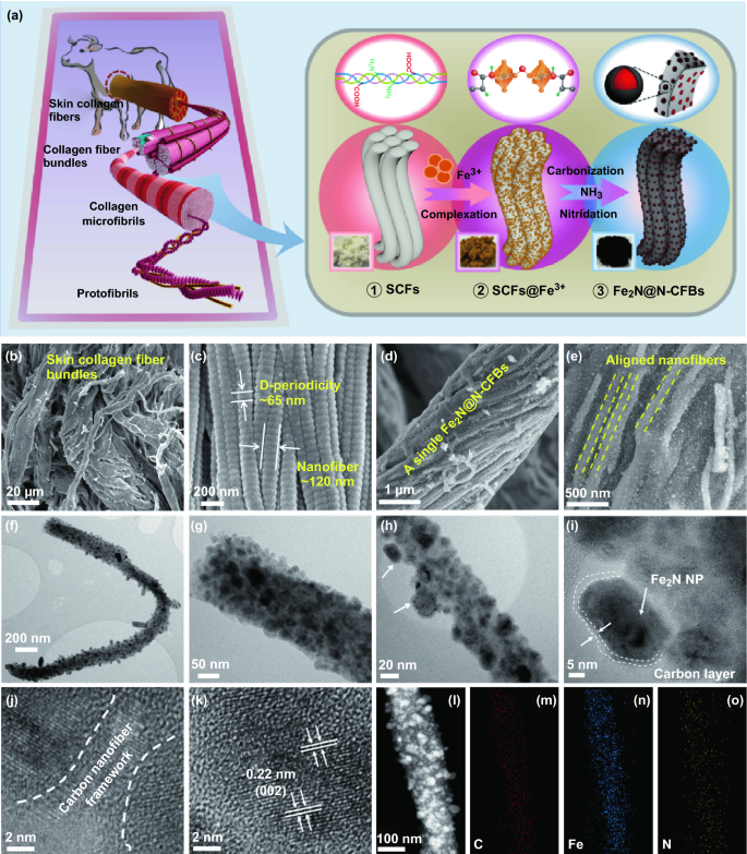 Bio Derived Hierarchical Multicore Shell Fe 2 N Nanoparticle Impregnated N Doped Carbon Nanofiber Bundles A Host Material For Lithium Potassium Ion Storage Springerlink