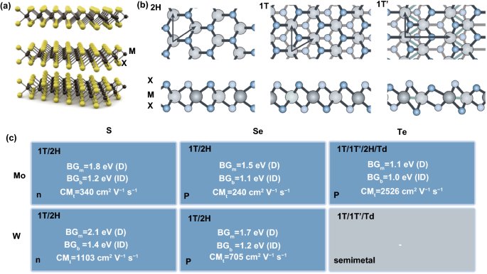 Environmental Analysis With 2d Transition Metal Dichalcogenide Based Field Effect Transistors Springerlink