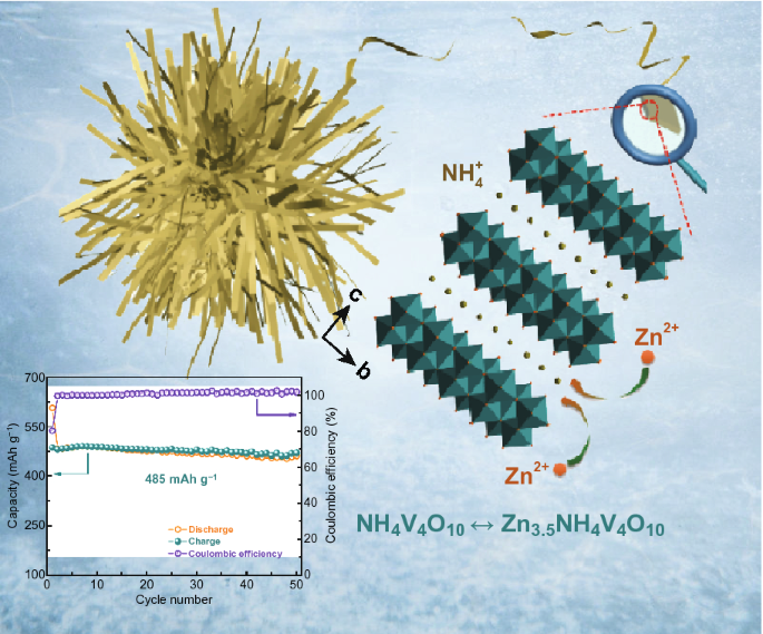 A High-Capacity Ammonium Vanadate Cathode for Zinc-Ion Battery |  SpringerLink