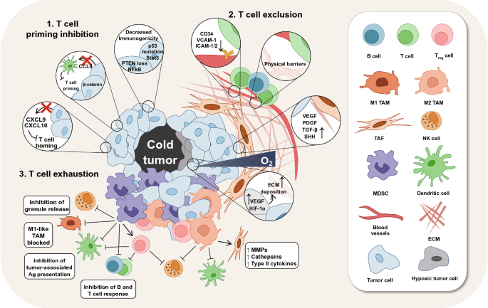 Recent Advancements in Nanomedicine for 'Cold' Tumor Immunotherapy |  SpringerLink