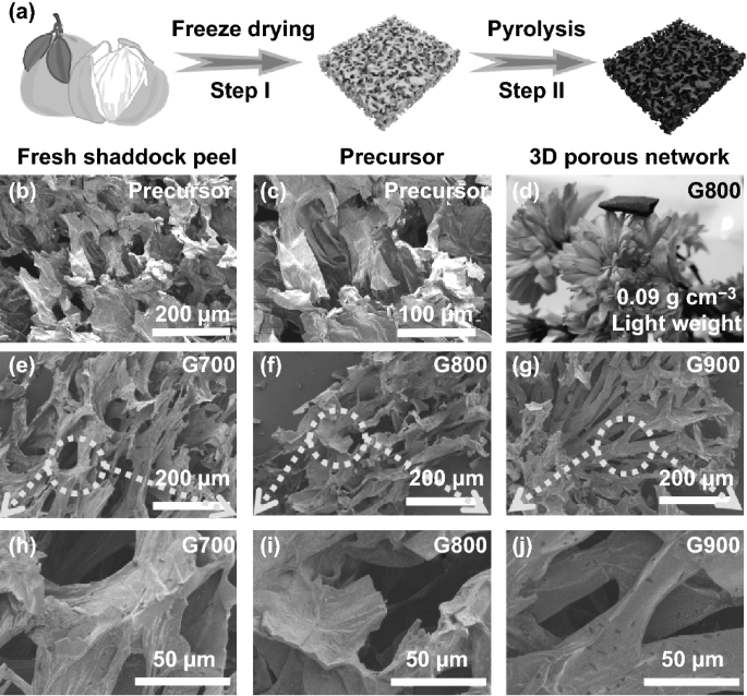 Environmentally Friendly And Multifunctional Shaddock Peel Based Carbon Aerogel For Thermal Insulation And Microwave Absorption Springerlink