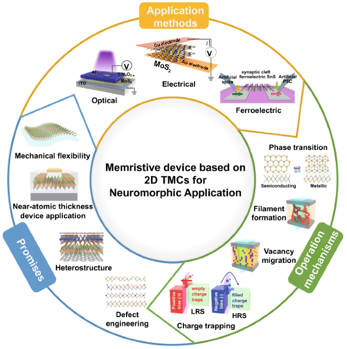 Memristive Devices Based on Two-Dimensional Transition Metal 