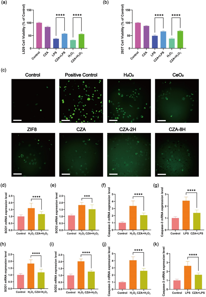 ROS Balance Autoregulating Core\u2013Shell CeO2@ZIF-8\/Au Nanoplatform for Wound Repair | Nano-Micro ...